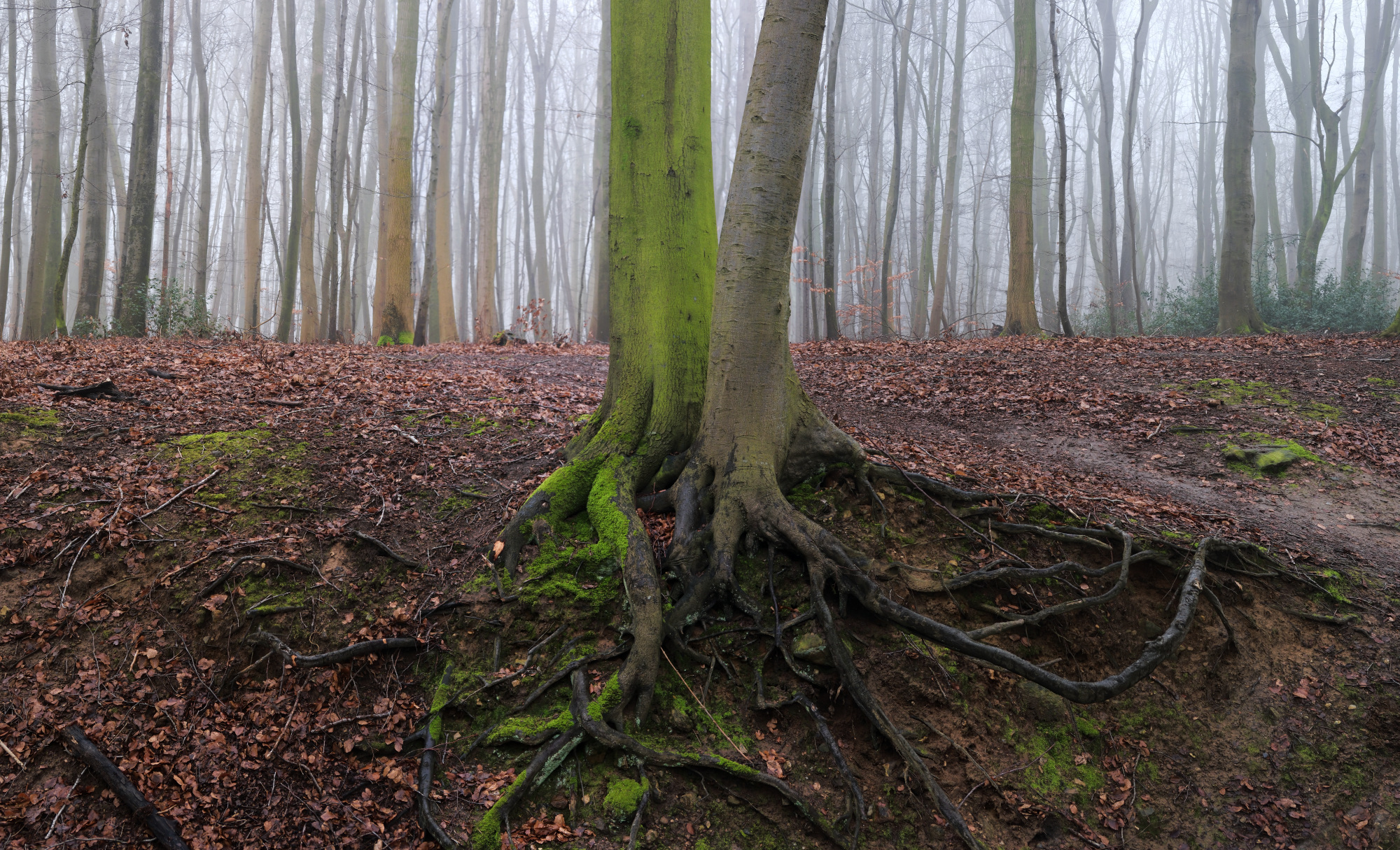 Unbenanntes_19.10.25-2-%20Panorama1_968Unbenanntes_19.10.25-2-%20Panorama1klein